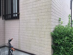 浜松市 外壁に付着した黒ずみと苔の汚れ|サイディングの汚れ劣化